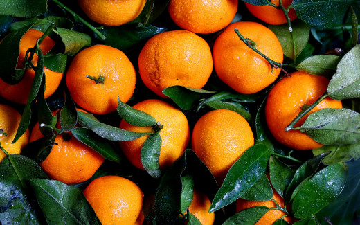 1645447 (a): :2560x1600